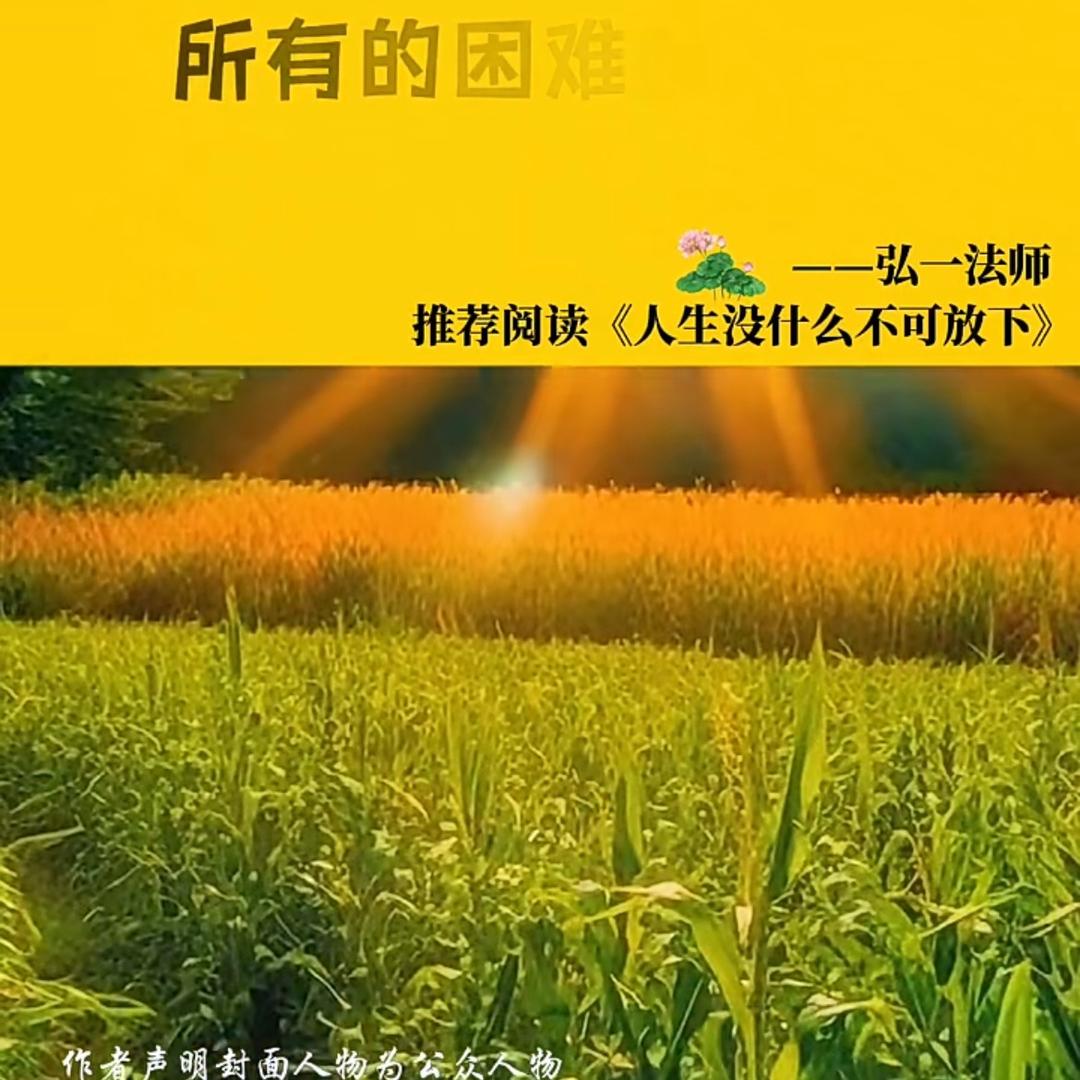用户58113146668889