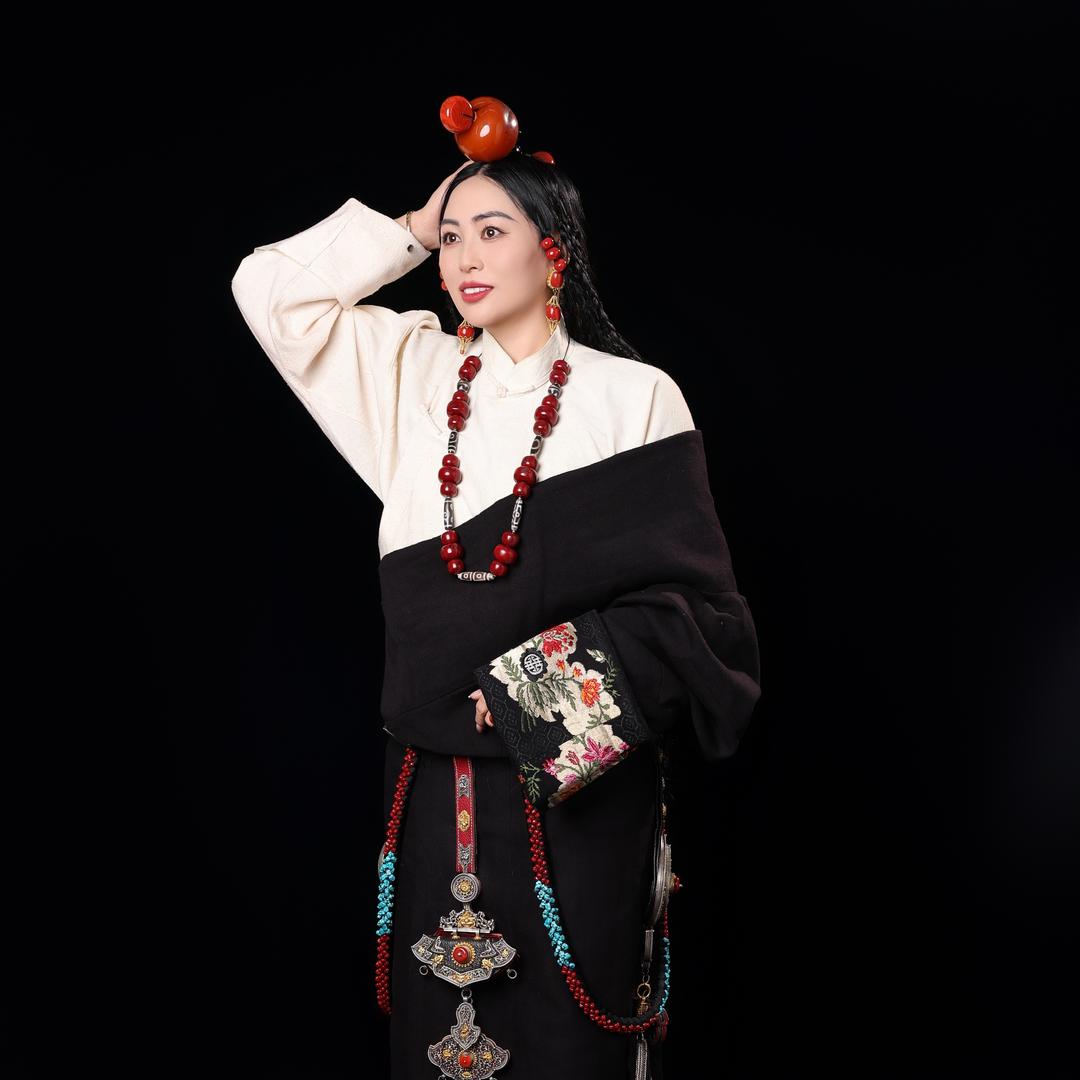 西藏阿孜商贸有限公司
