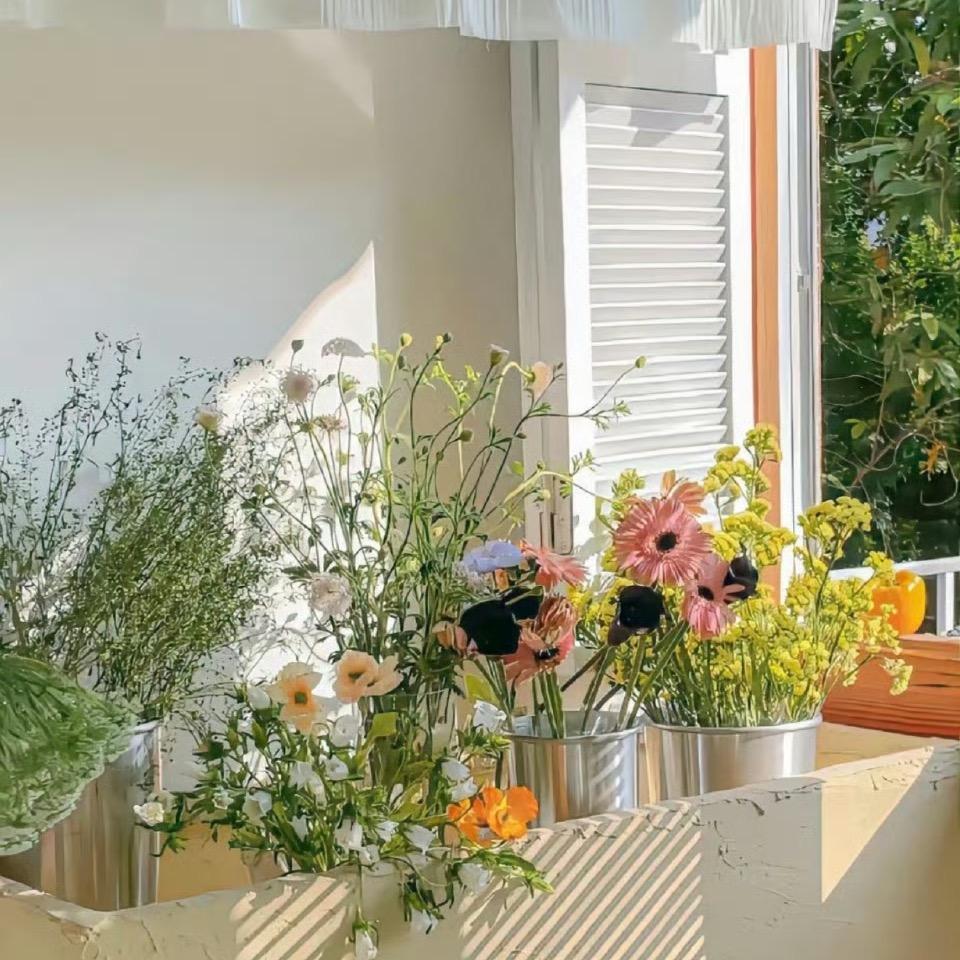 植屿花园艺绿植🪴