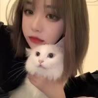 伊伊-