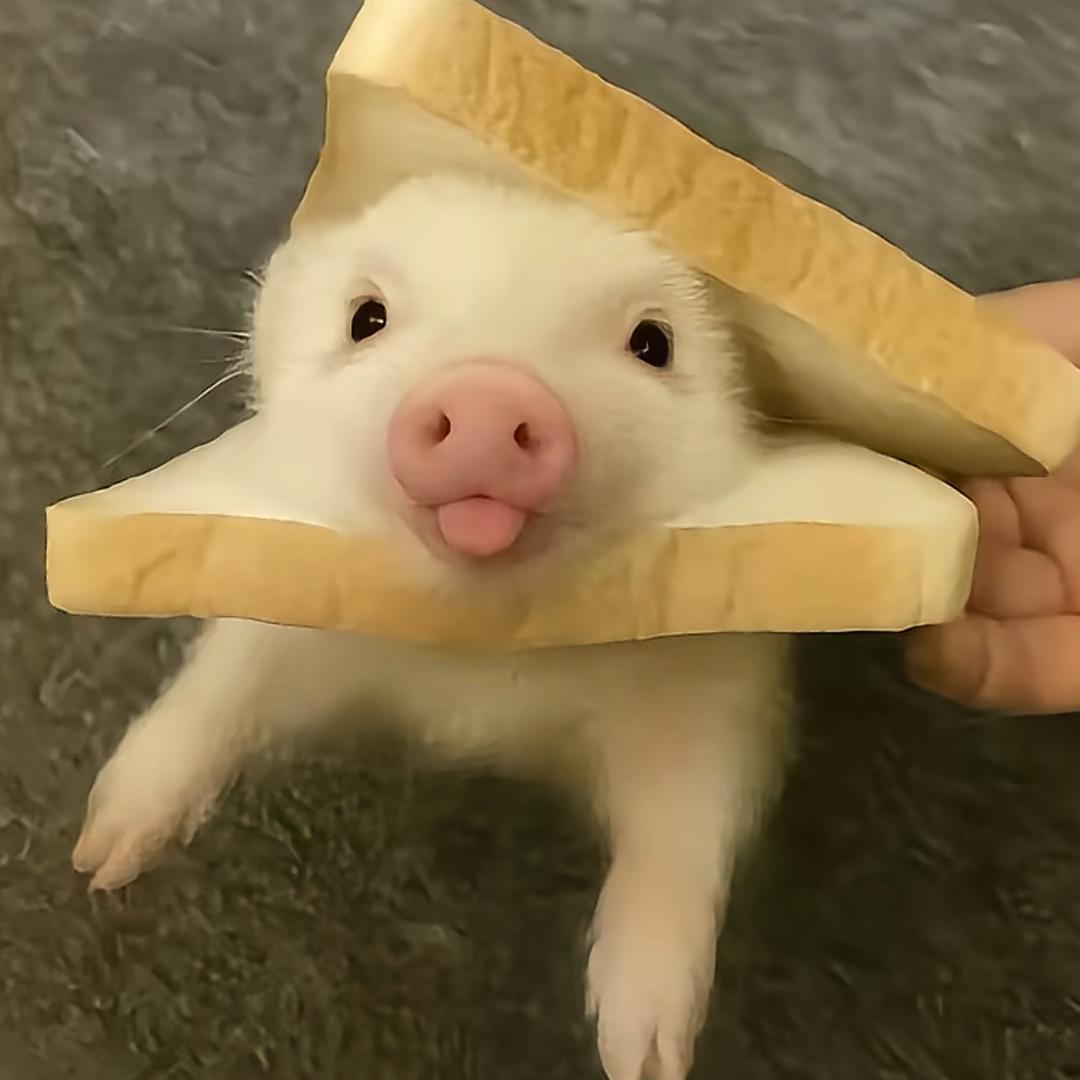 风起云雾時