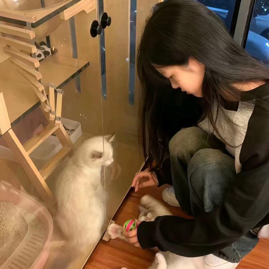 十三月见、