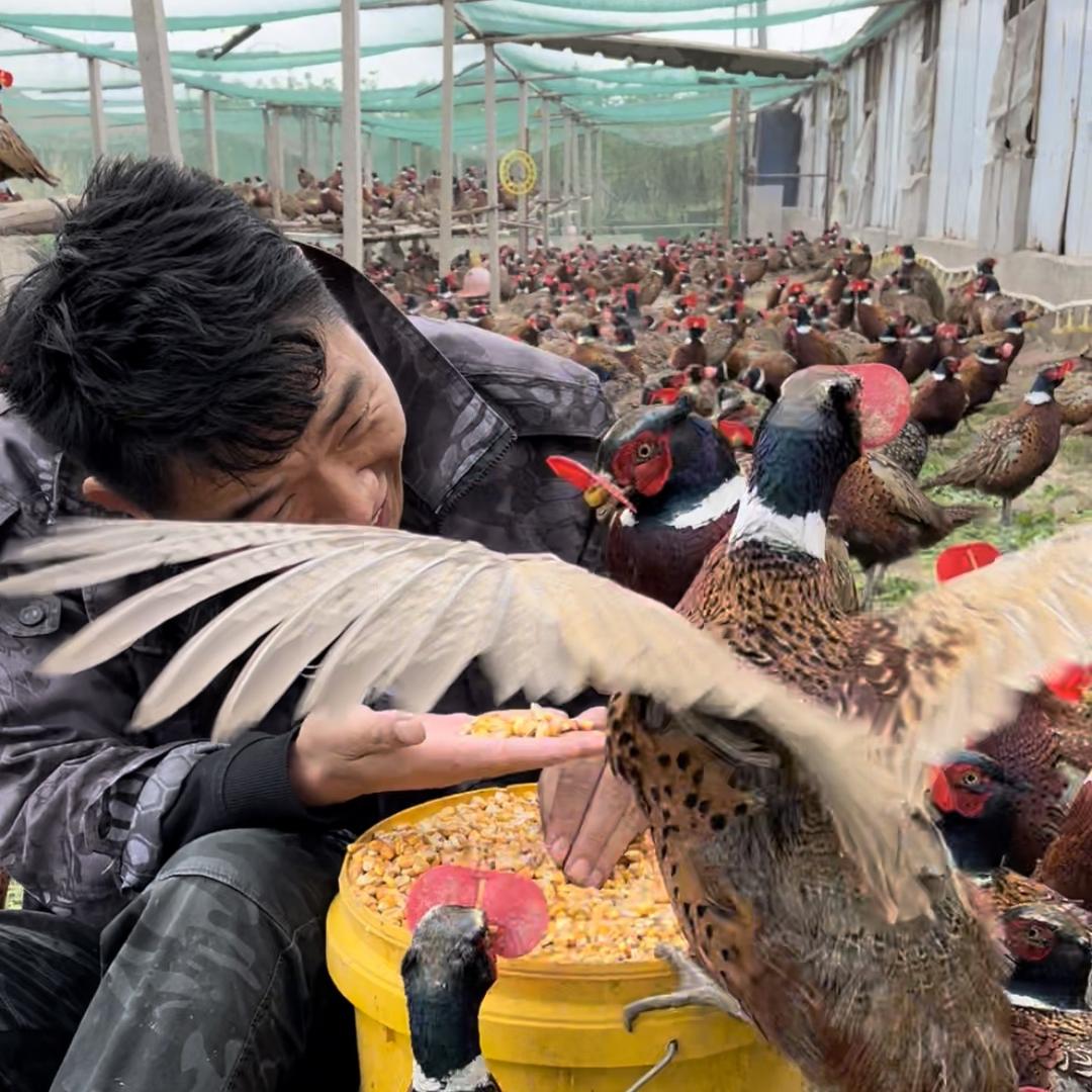 南山龍凤旗舰店@抖音