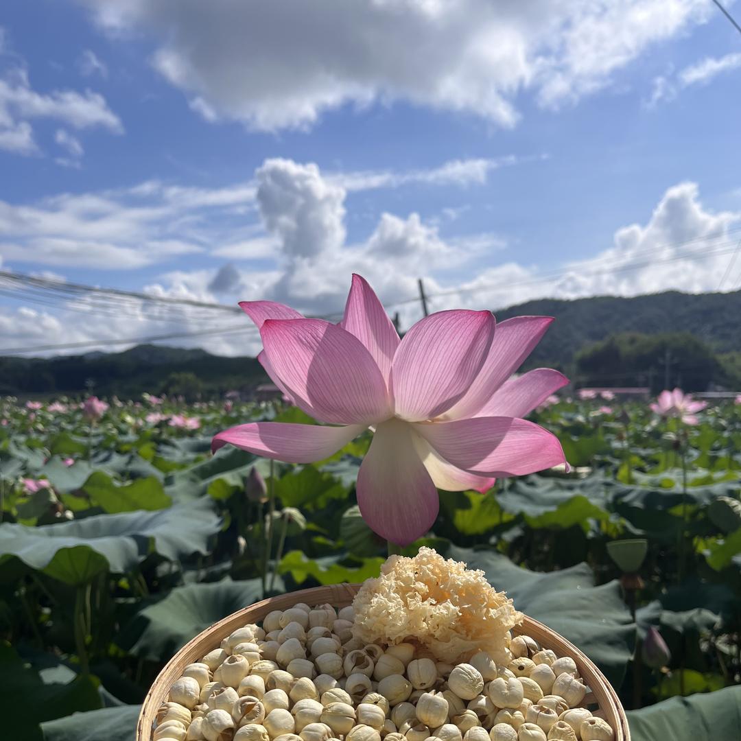 绿康农副产品店