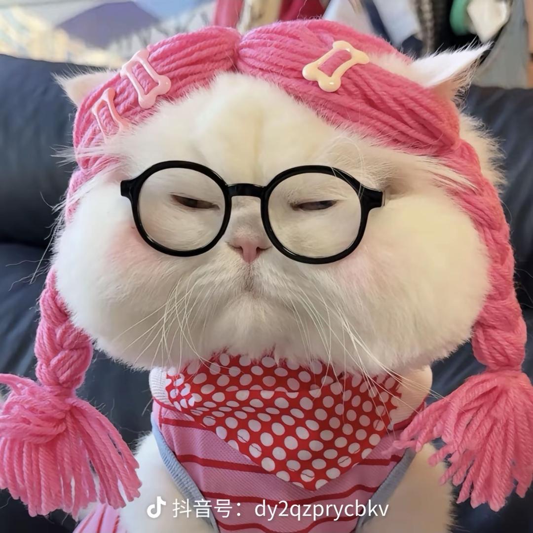 瑶瑶爱吃萝卜🥕