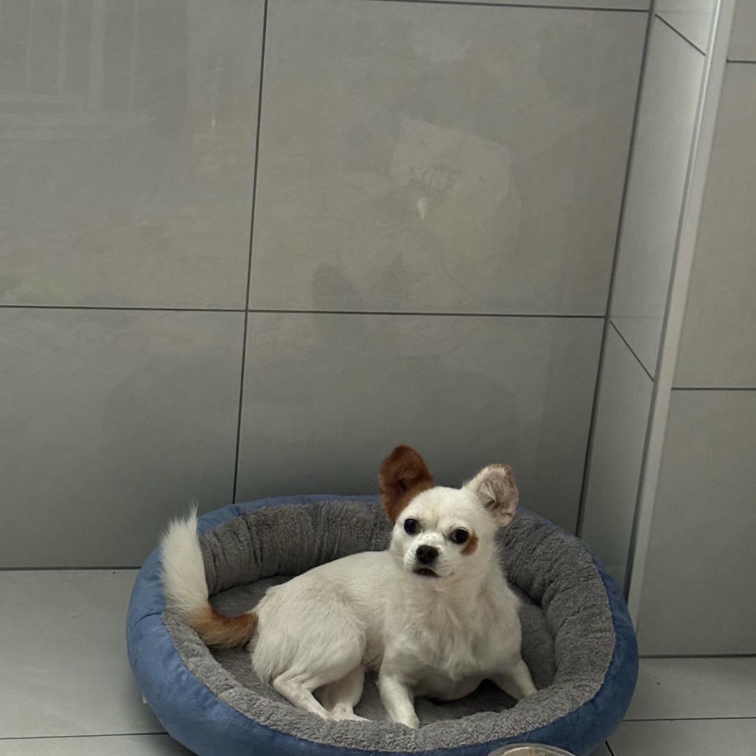 用户8927708854431