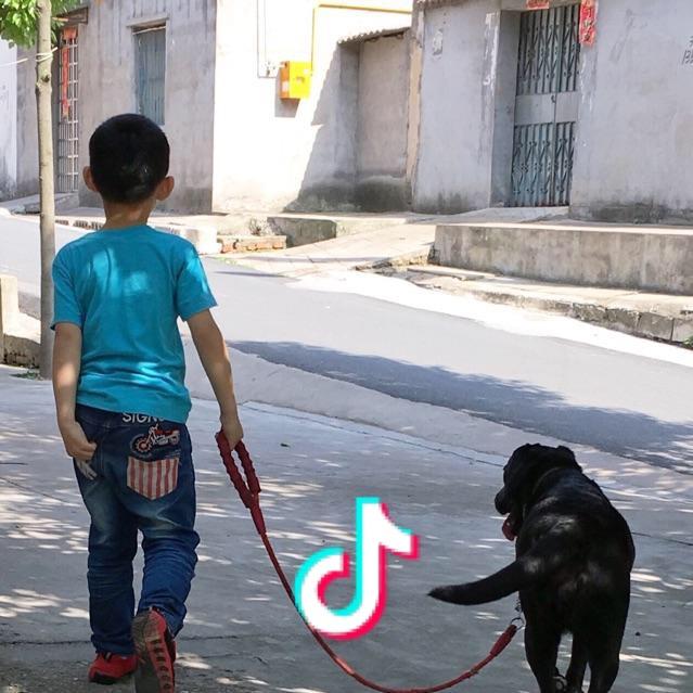 🌈🌈翅膀🔖飞