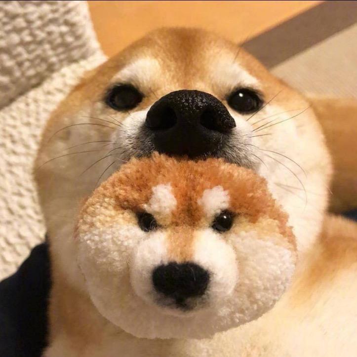 金金优选电商