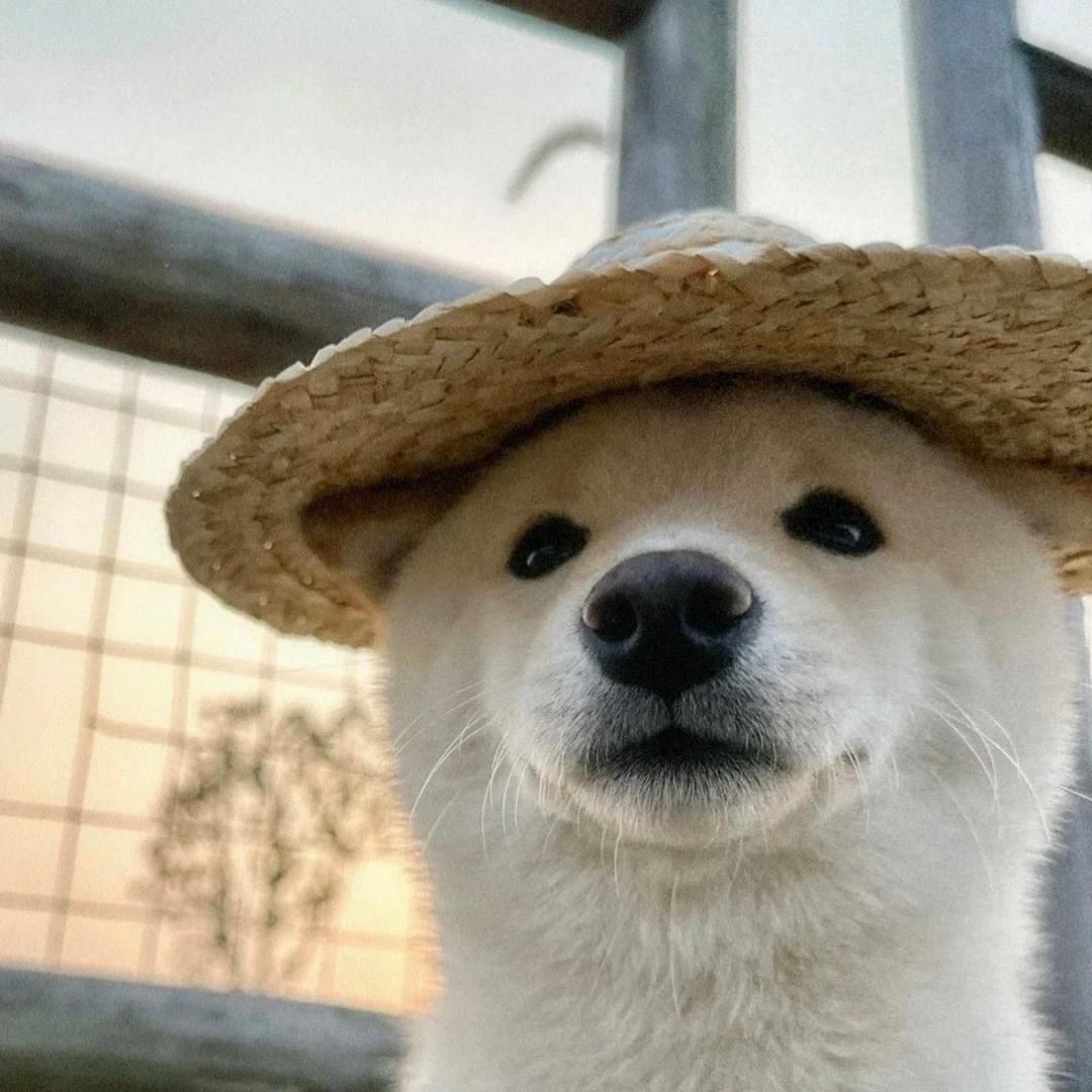 顺其自然