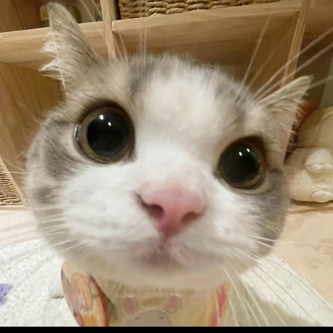 小玲酱