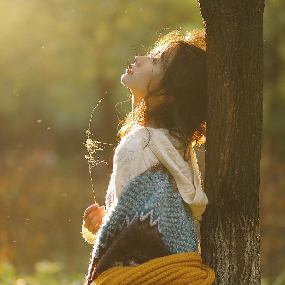 雅梦衣橱宝藏屋