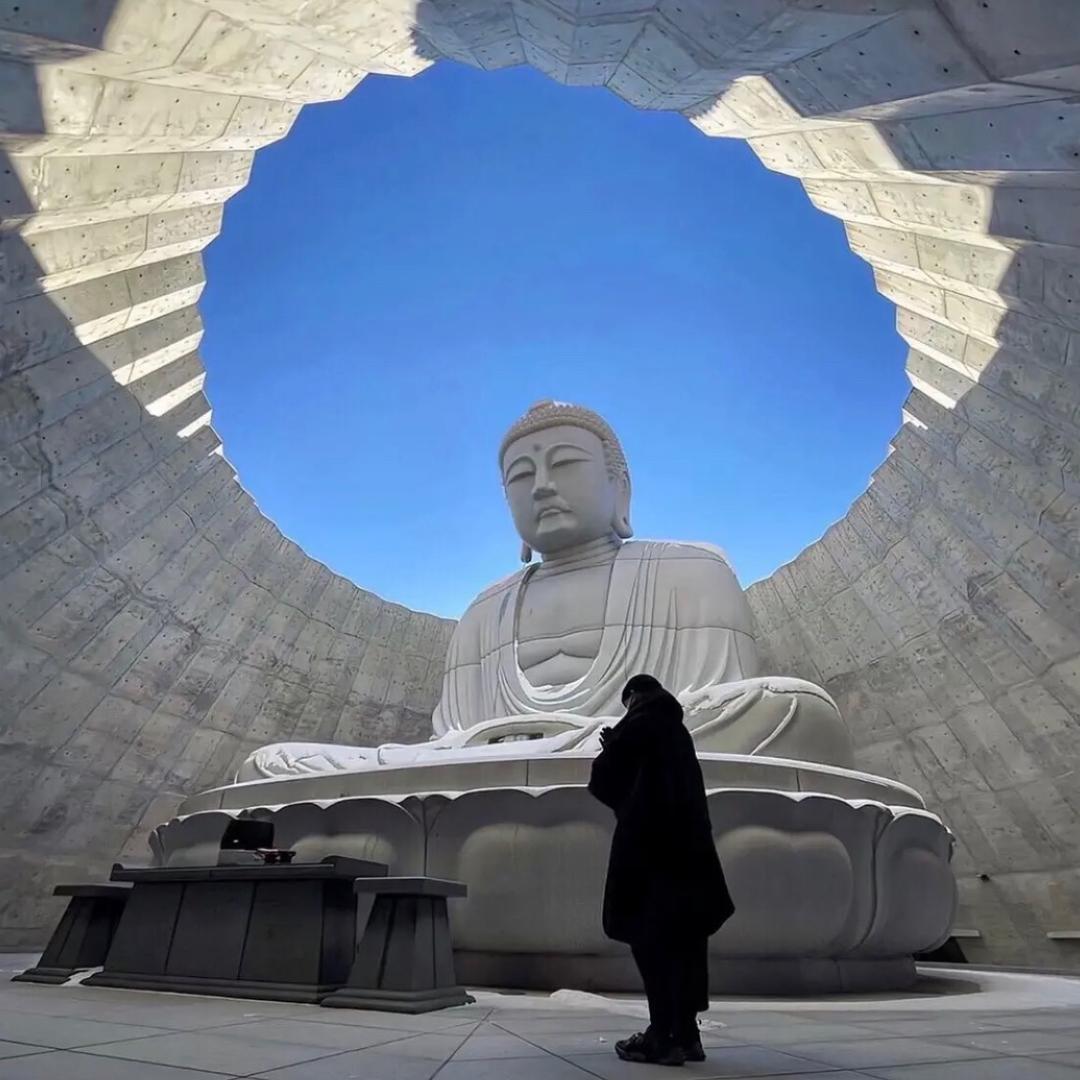 活够了就去死