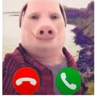 玉米