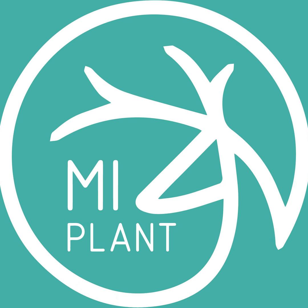 覔Plant