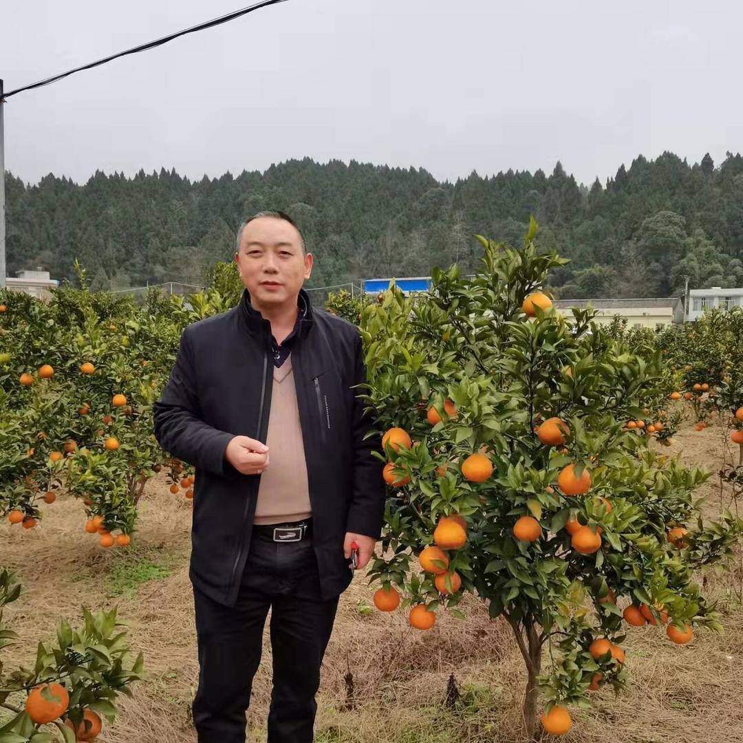 导电漆～屏蔽漆、EMI溅镀