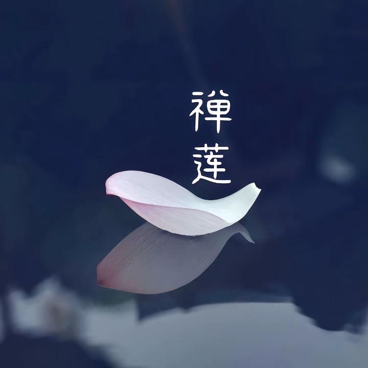 云清讲