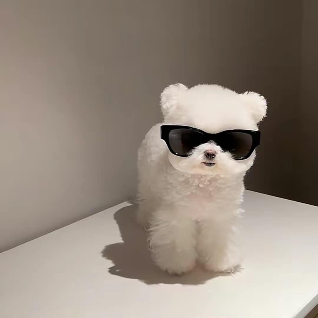 不高兴