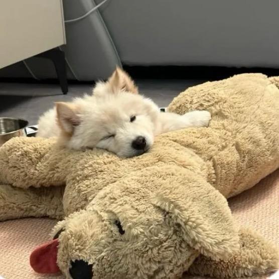 Liuuuu.