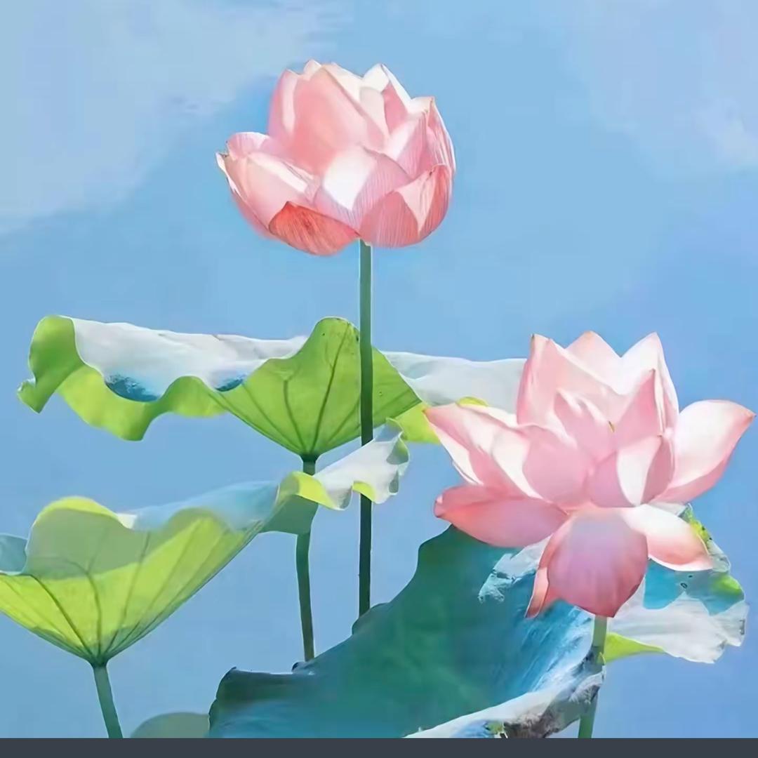 吉祥