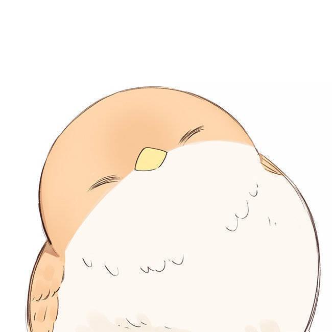 ̗̀(๑ᵔ⌔ᵔ๑)