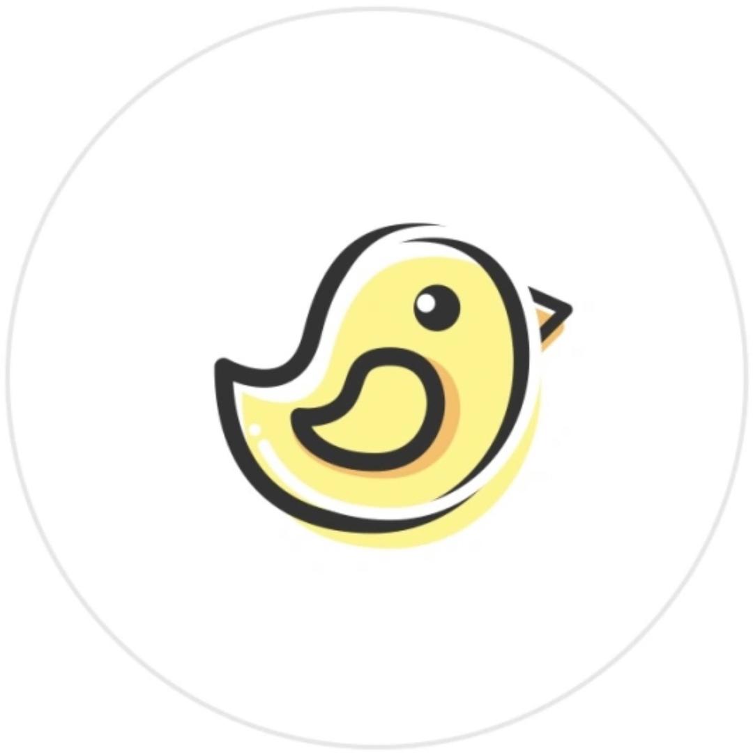 加油鸭🐣
