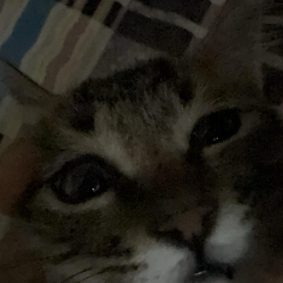 1121
