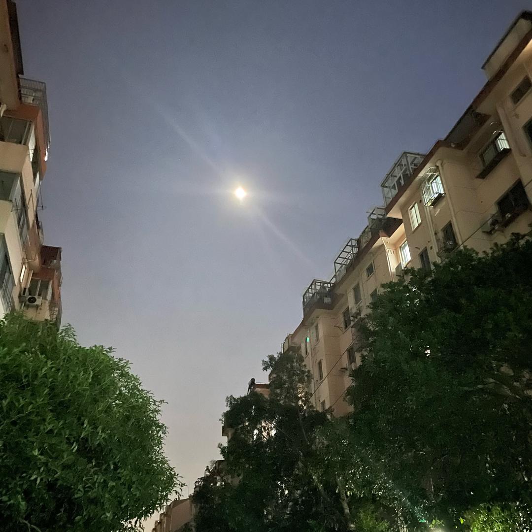知瑶钰业