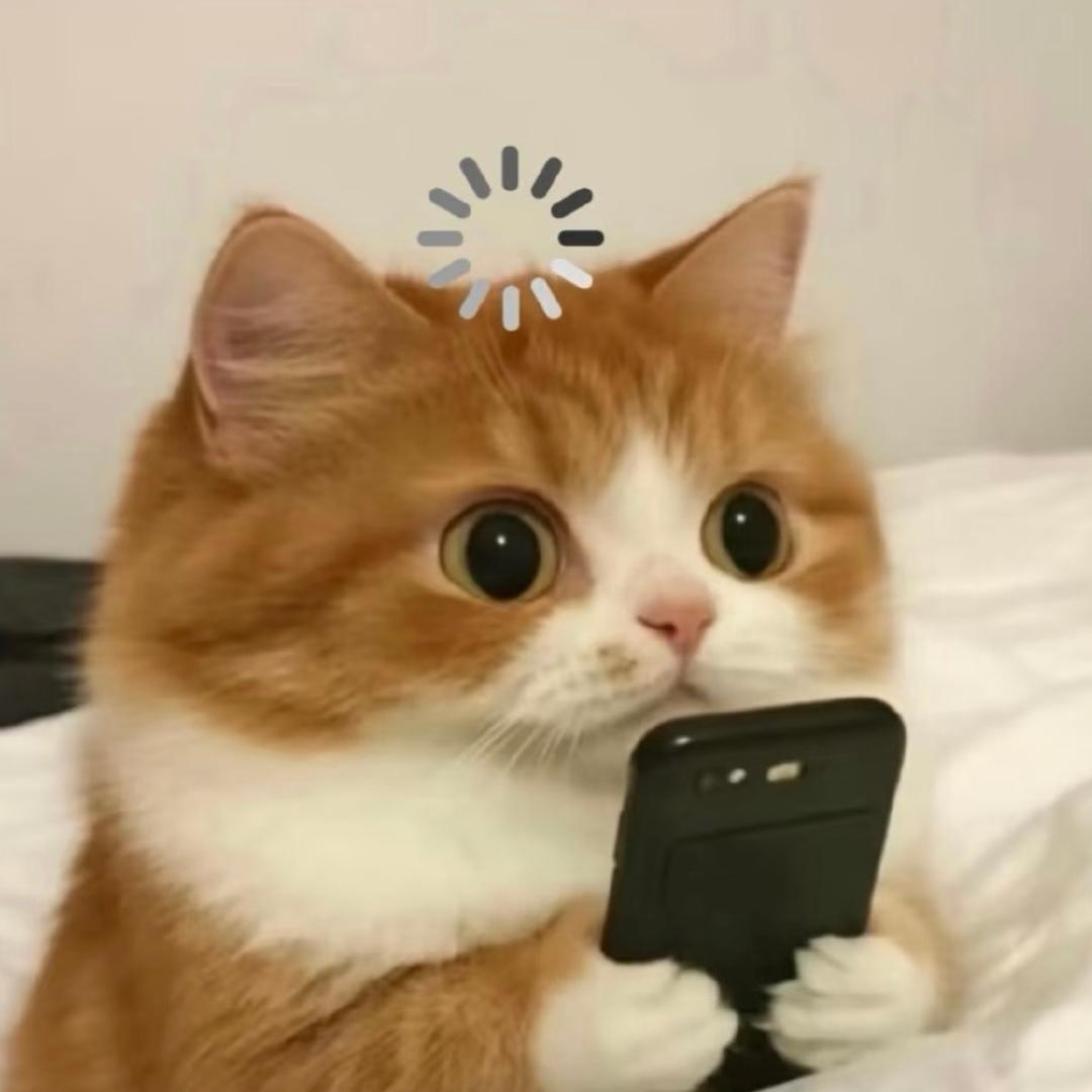 暴躁猪蛋挞ʕ•̫͡•ʔ