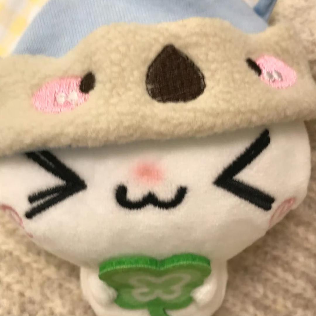 别逼傻子学化学