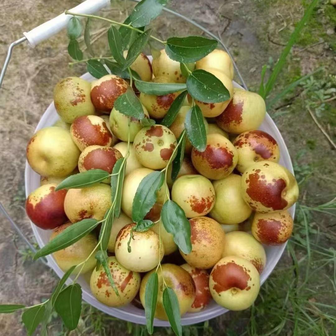 用户名不存在122