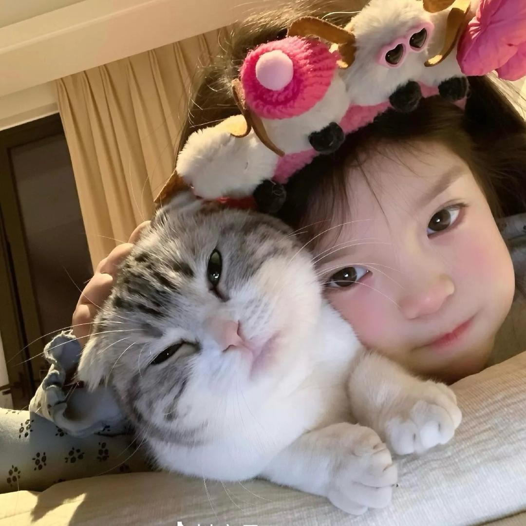 上海网约车租/卖找小芙