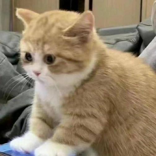 小陈爱生活