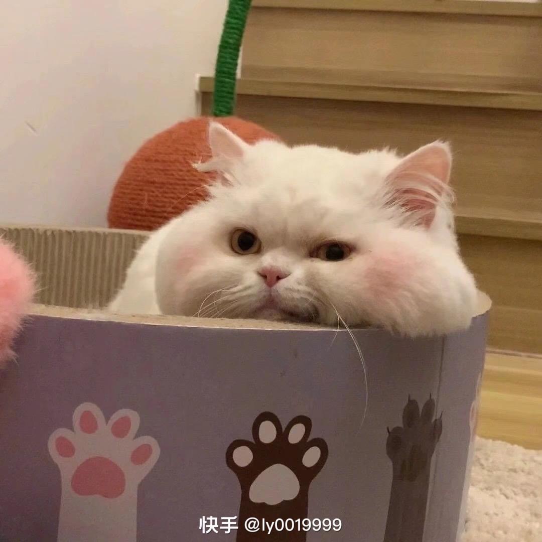 小满啊