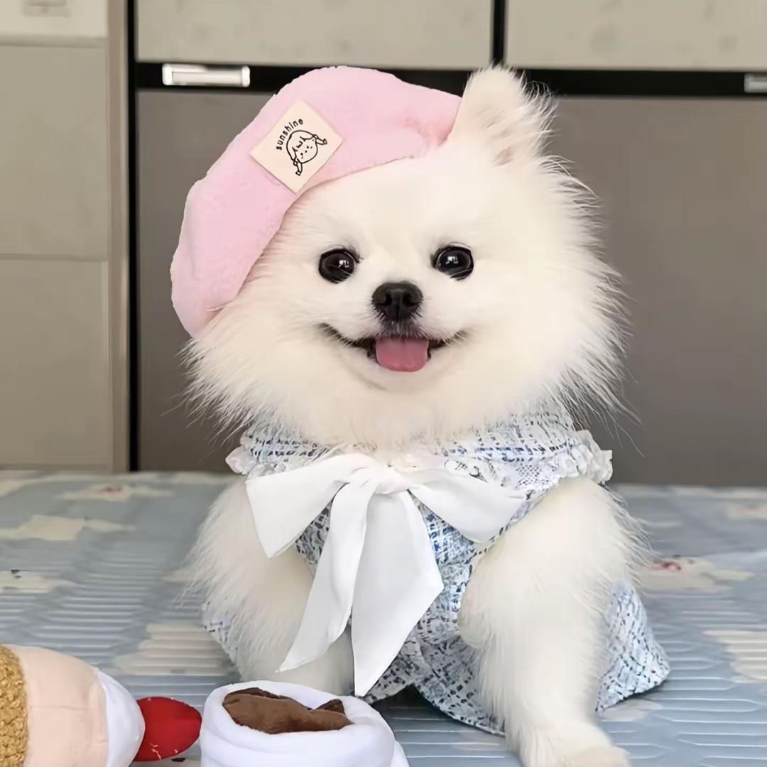 金豆来福的宝贝