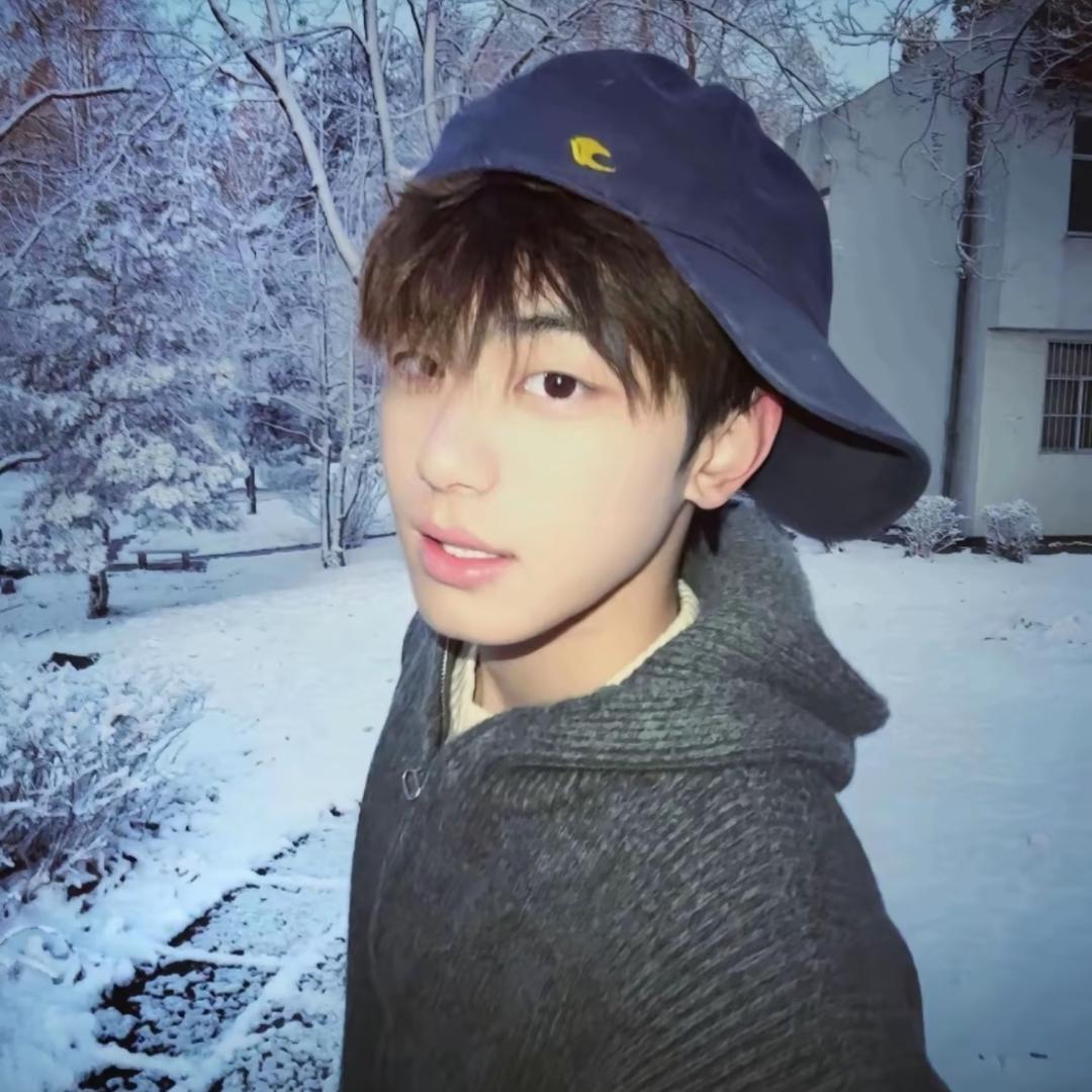 菠萝吹雪·