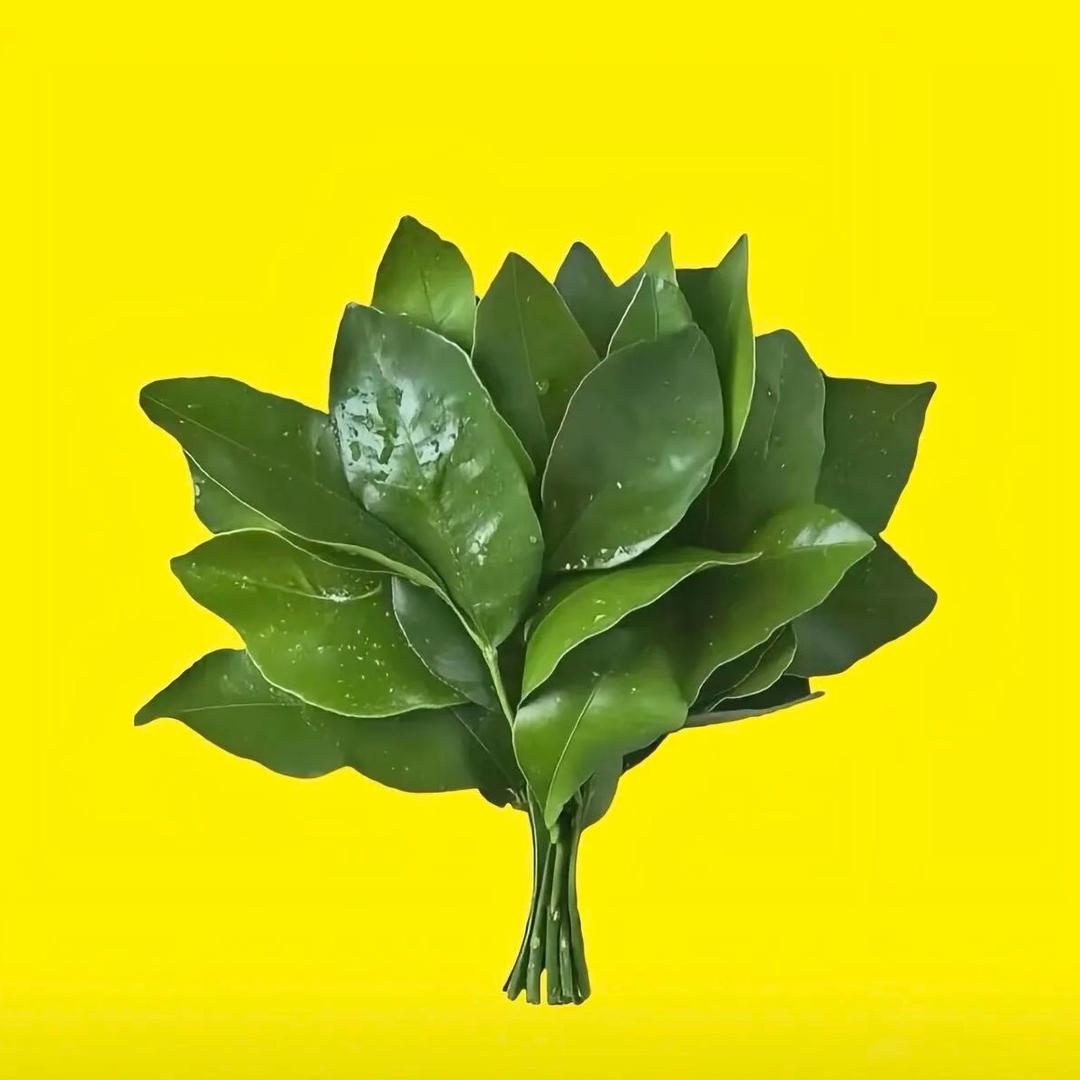 小敏🎋