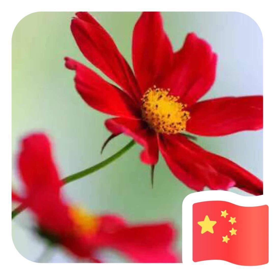 唯美