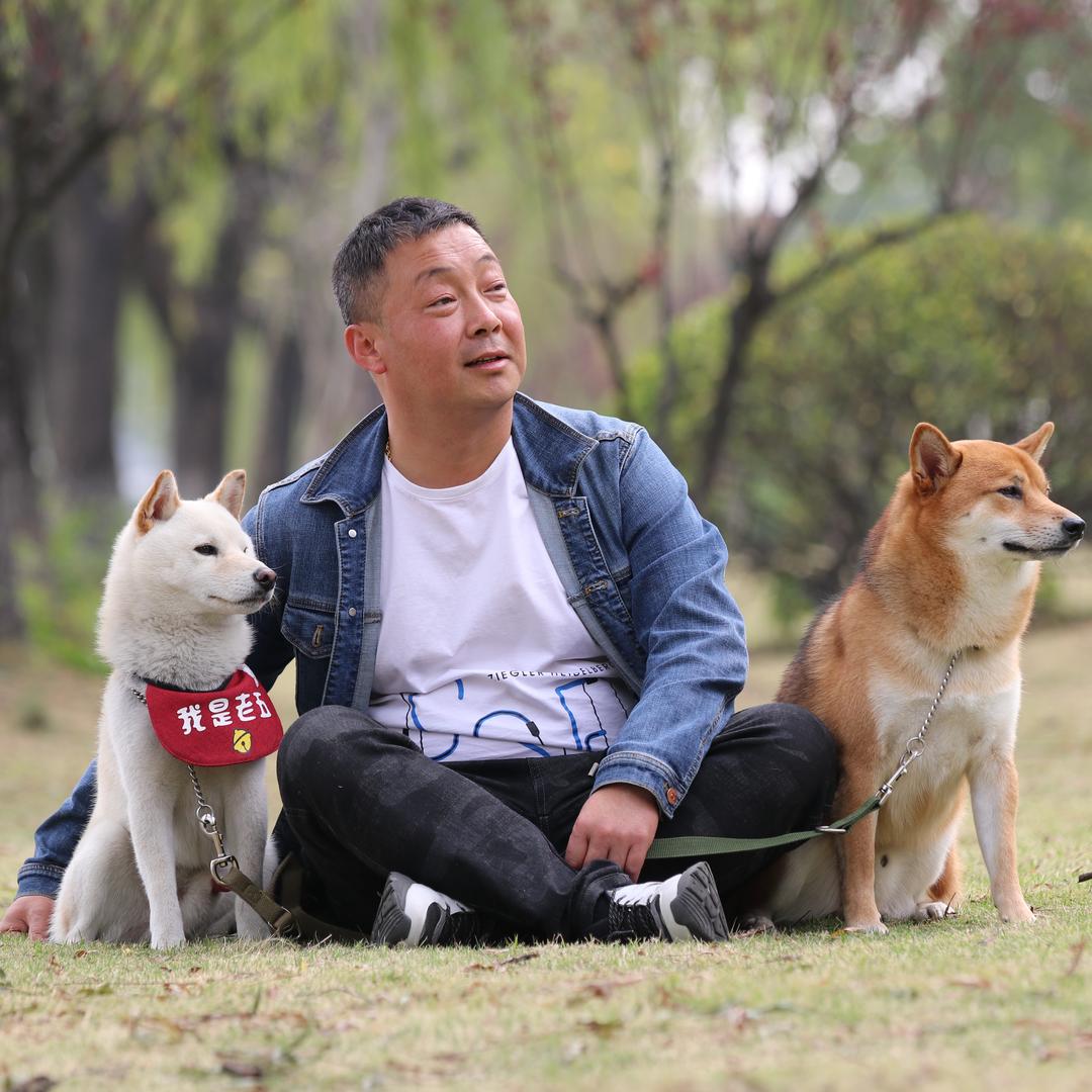 训犬师涛哥振涛宠物
