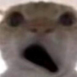 你钟意