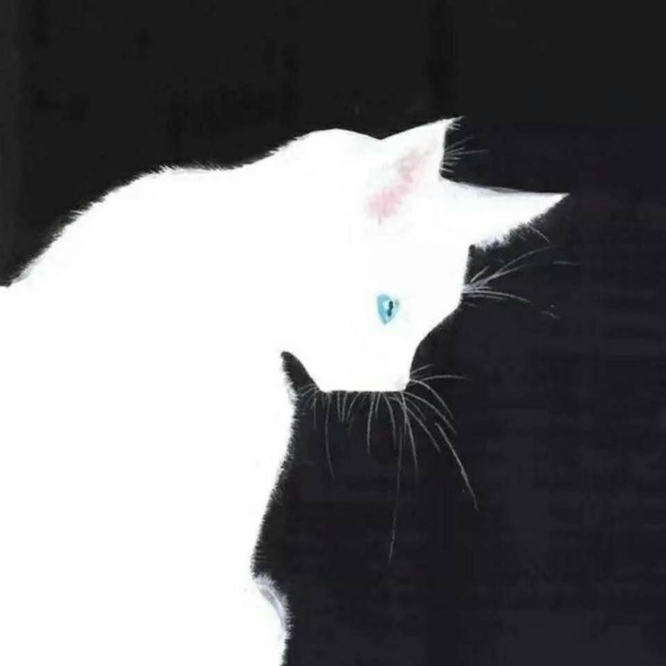 她和她的猫