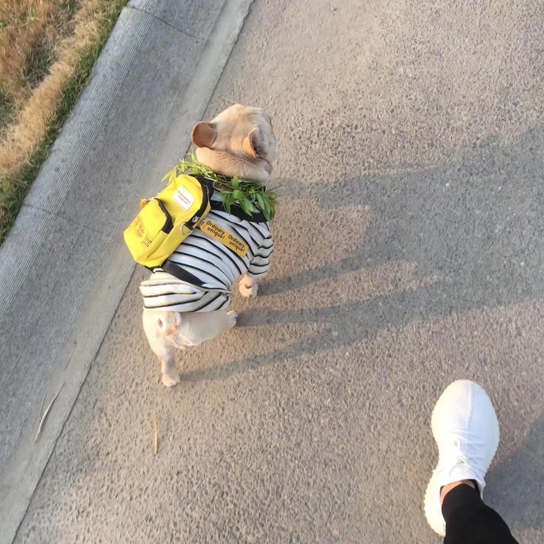 發