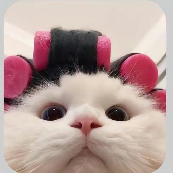 呀呀呀呀呀呀🔟～