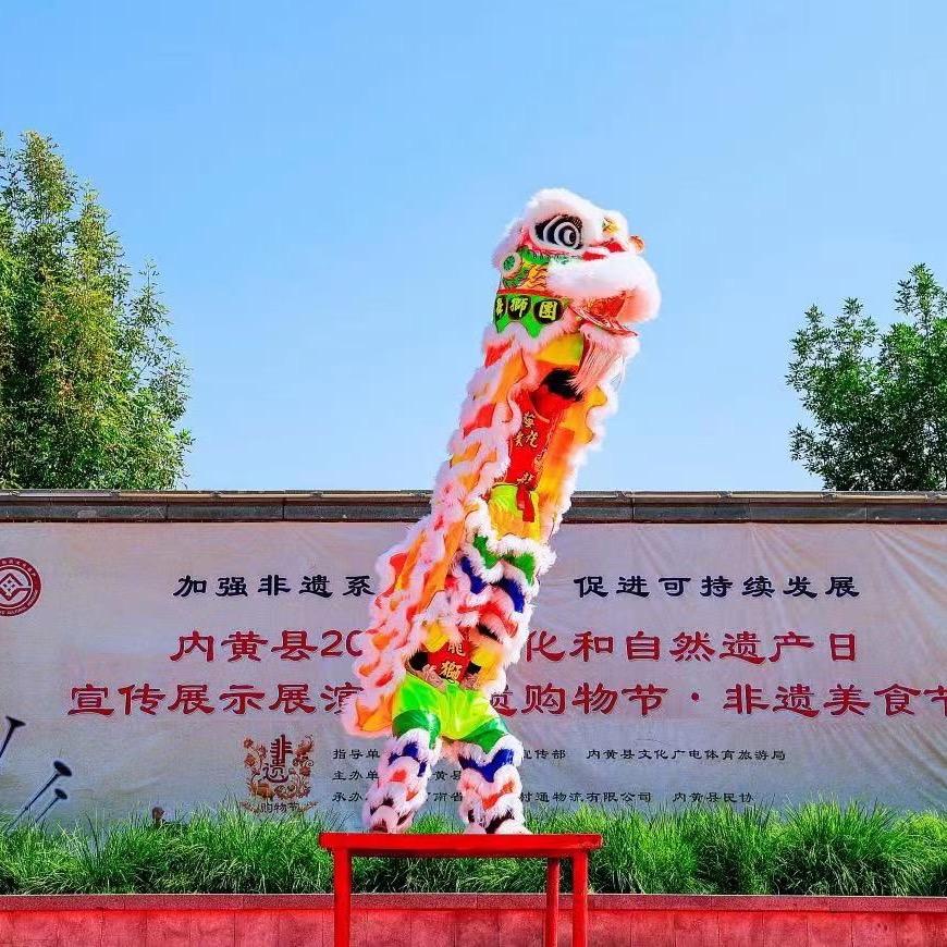 河南大黄滩舞狮（梅花拳）阳阳