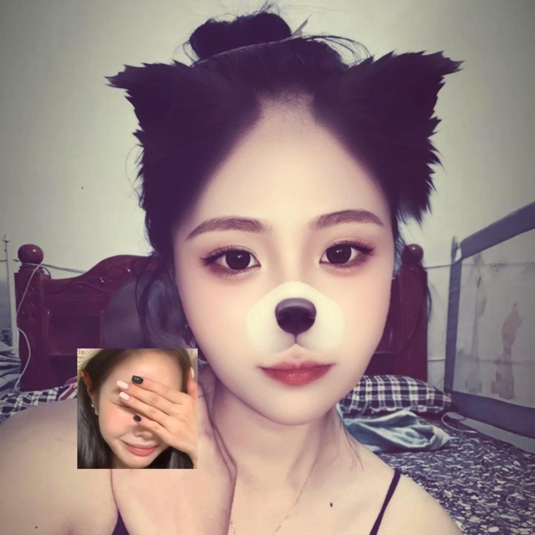 哈尼