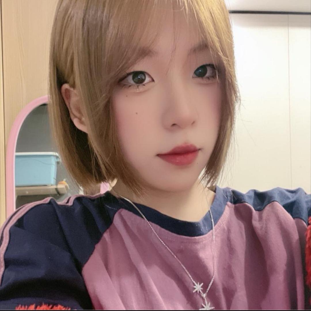 安徽美杜莎
