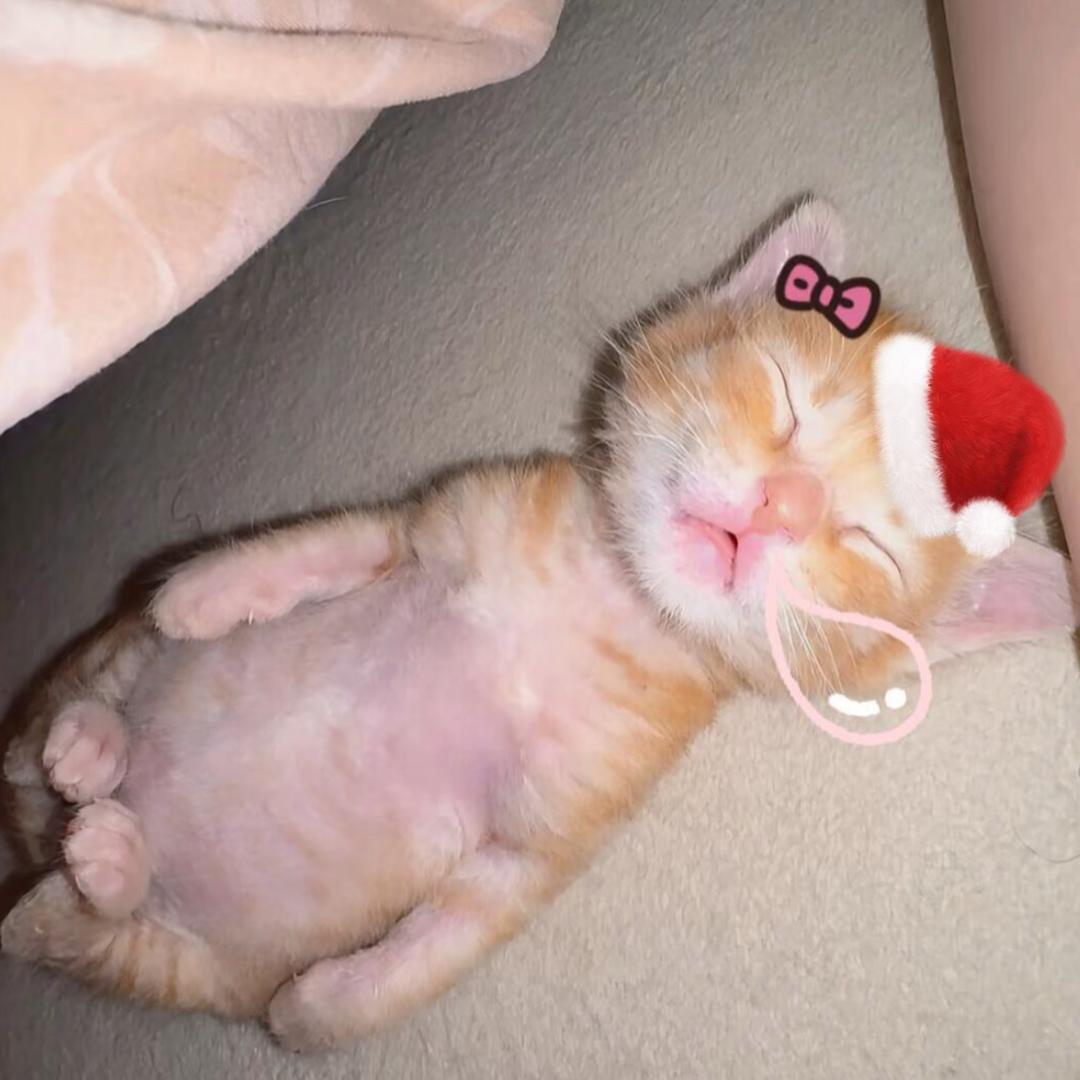 睡觉