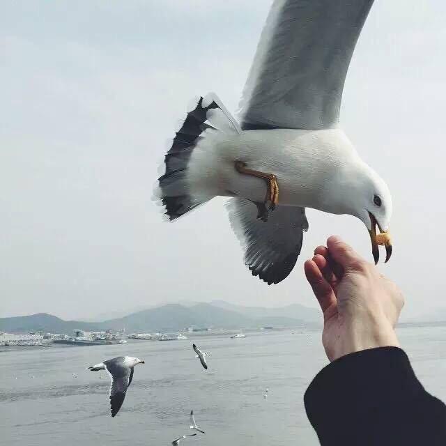 Zai見.