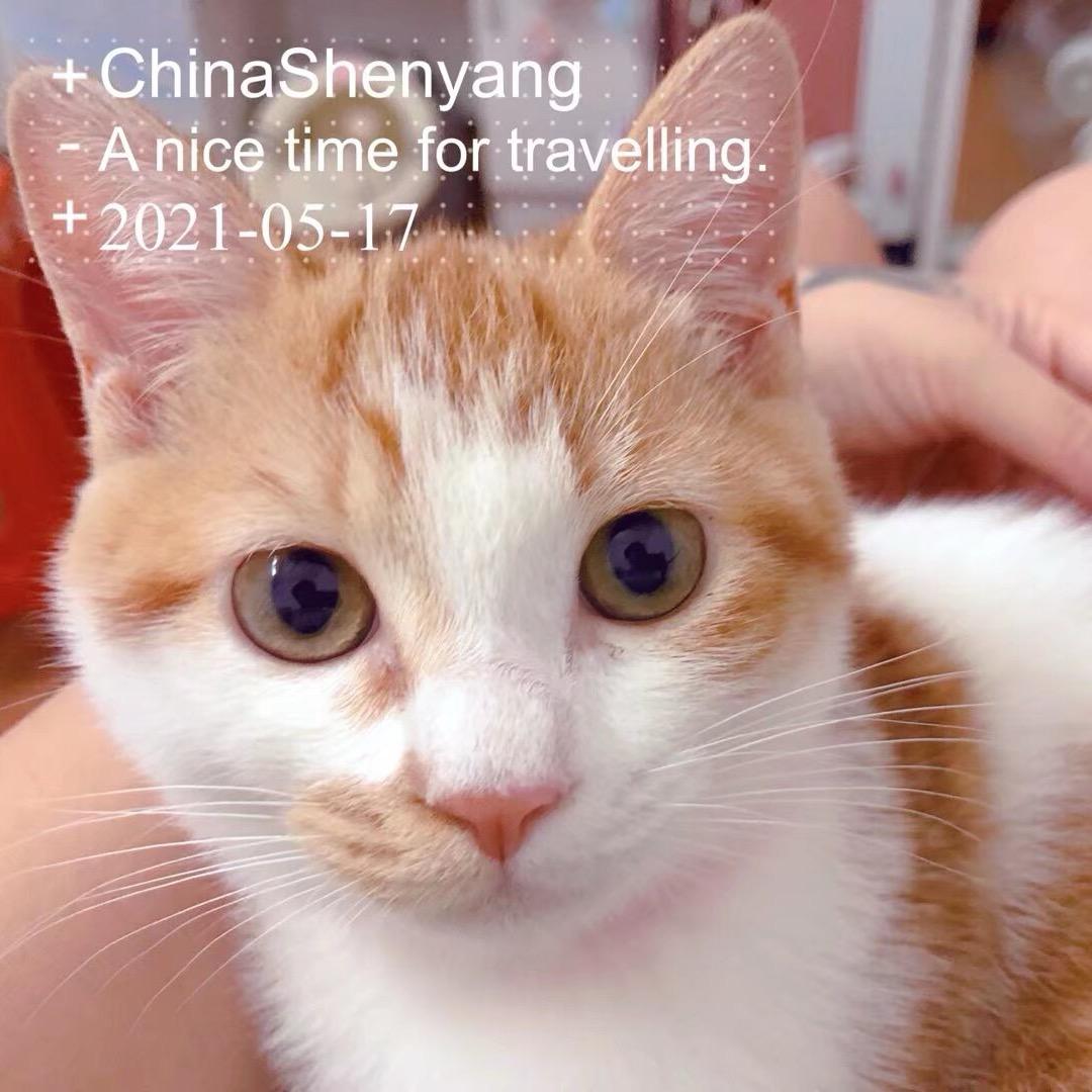 小爱🌱