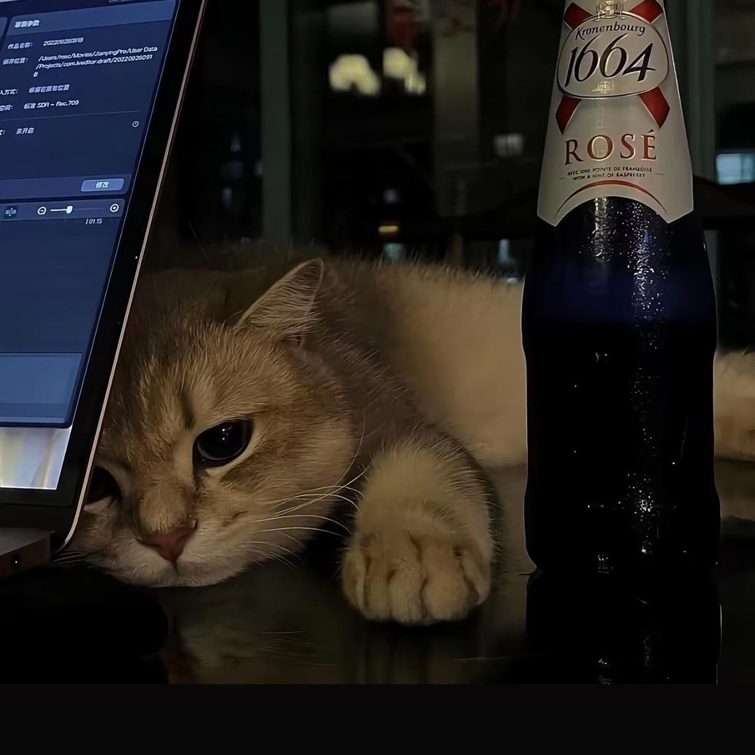 夜场营销小七同学