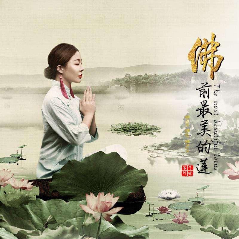 风惹杨柳